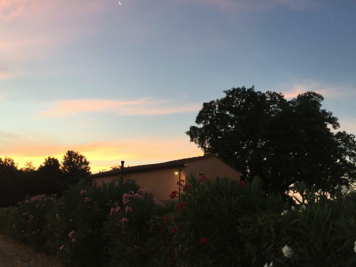 Terricciola Agriturismo Pieve De Pitti מראה חיצוני תמונה