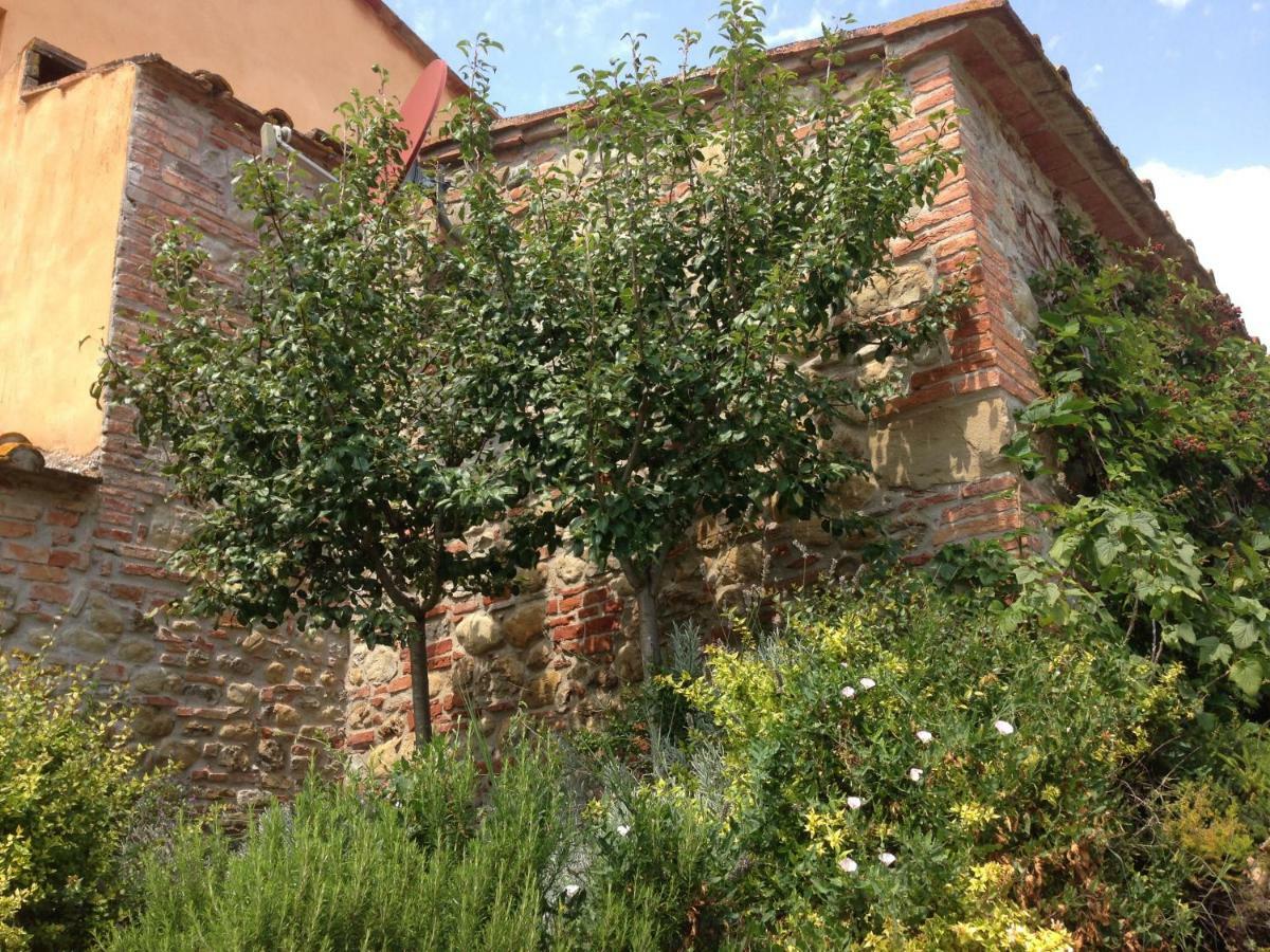 Terricciola Agriturismo Pieve De Pitti מראה חיצוני תמונה