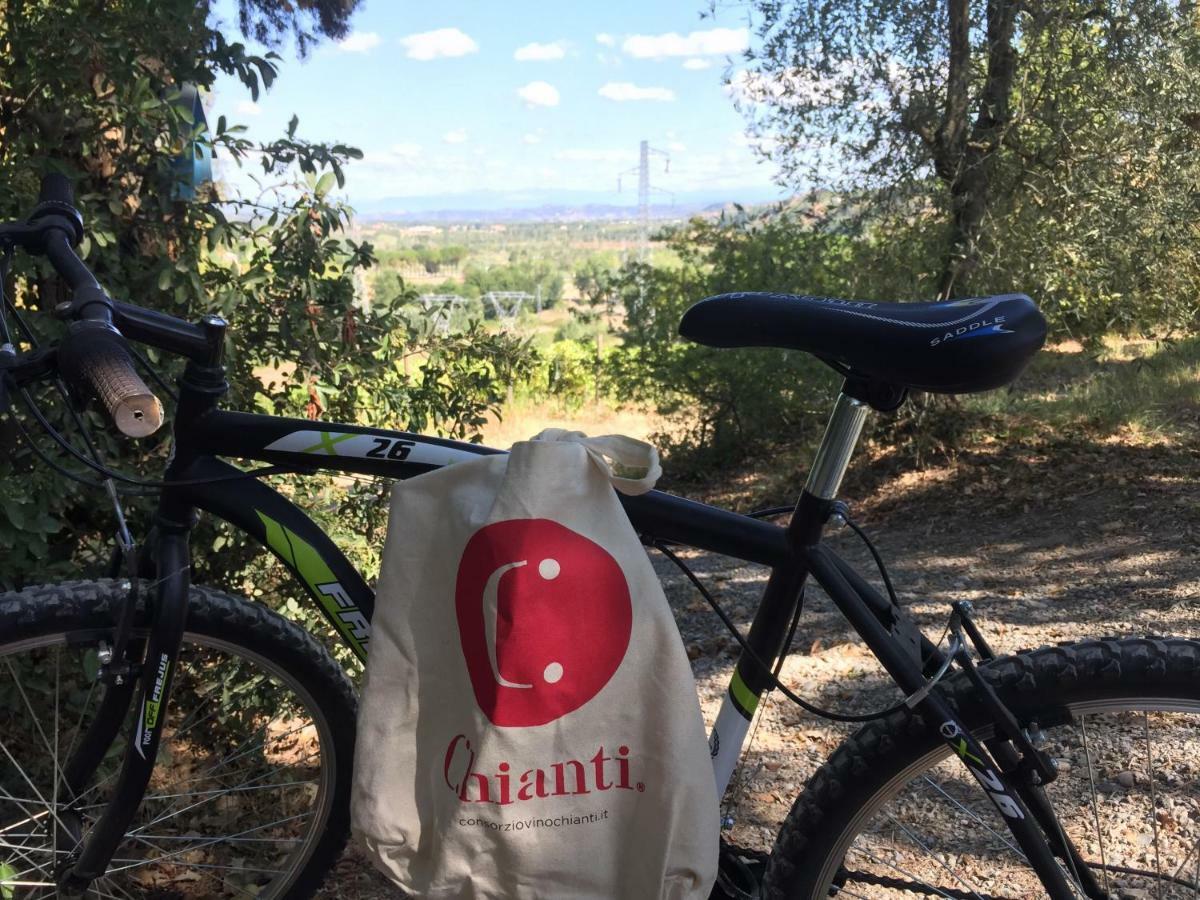 Terricciola Agriturismo Pieve De Pitti מראה חיצוני תמונה