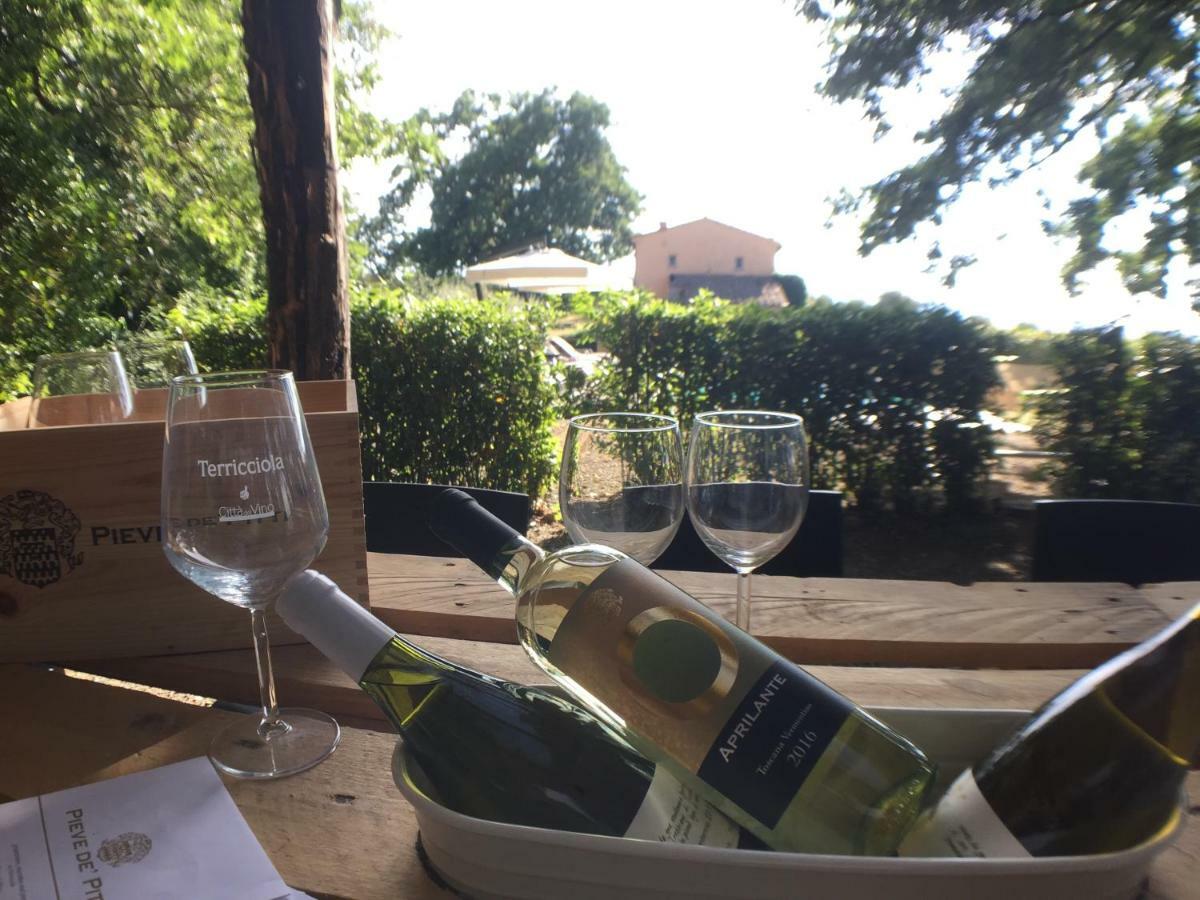 Terricciola Agriturismo Pieve De Pitti מראה חיצוני תמונה