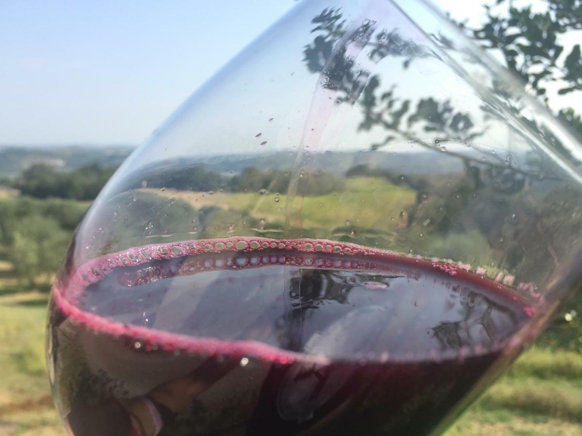 Terricciola Agriturismo Pieve De Pitti מראה חיצוני תמונה