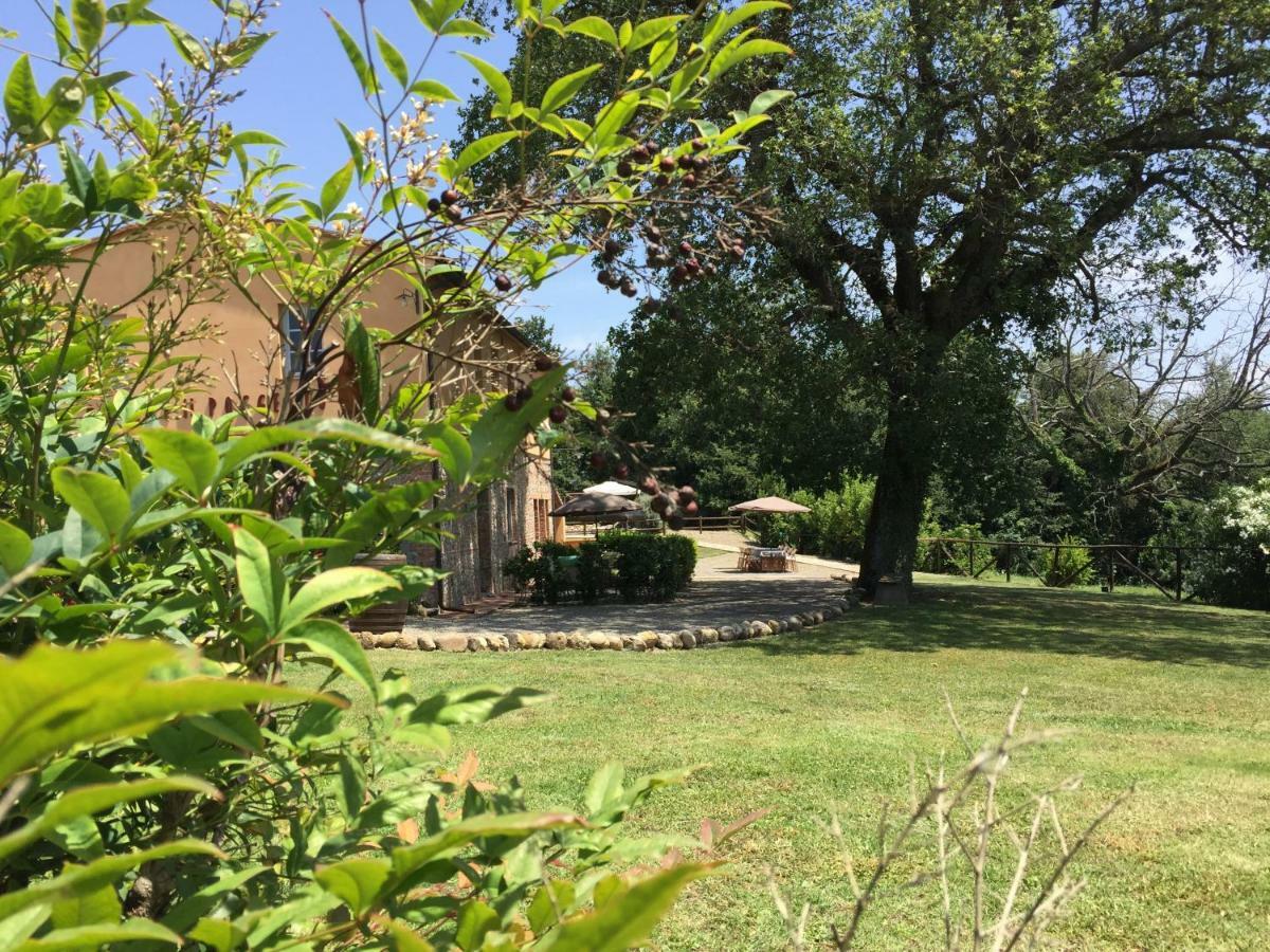 Terricciola Agriturismo Pieve De Pitti מראה חיצוני תמונה