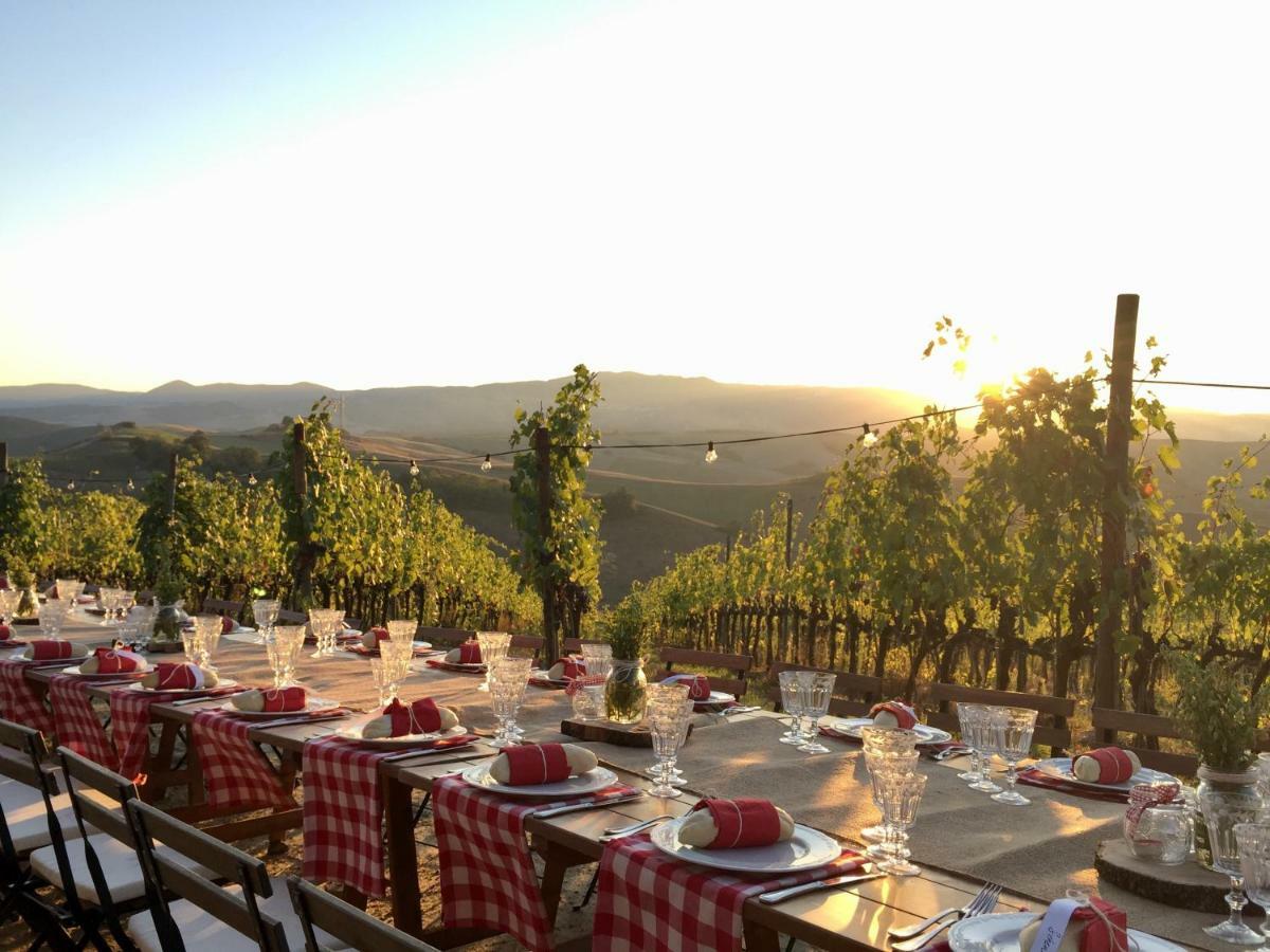 Terricciola Agriturismo Pieve De Pitti מראה חיצוני תמונה