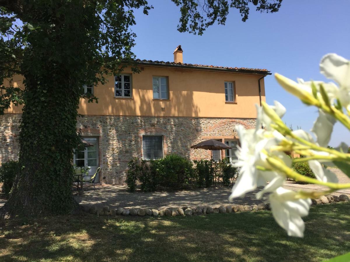 Terricciola Agriturismo Pieve De Pitti מראה חיצוני תמונה