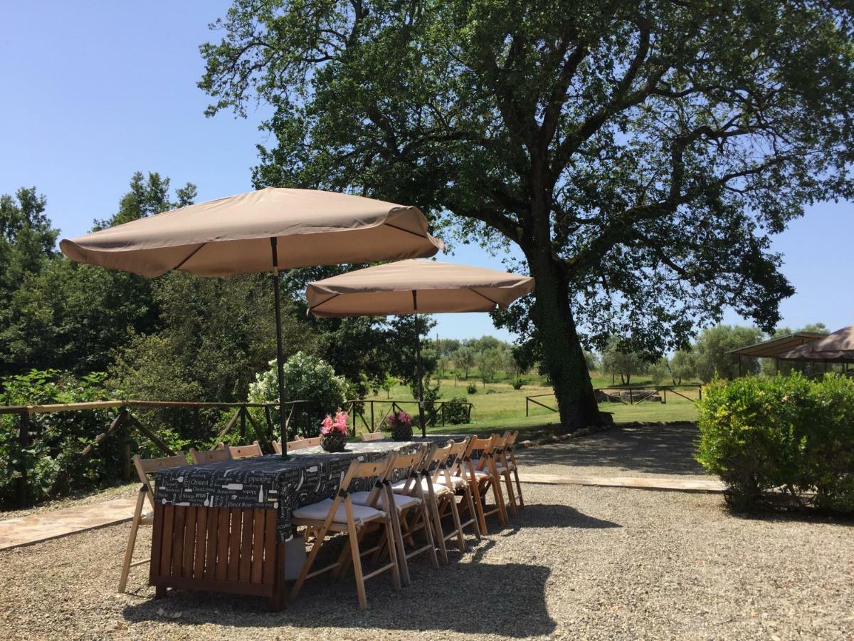 Terricciola Agriturismo Pieve De Pitti מראה חיצוני תמונה