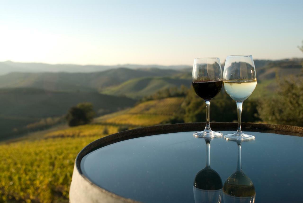 Terricciola Agriturismo Pieve De Pitti מראה חיצוני תמונה