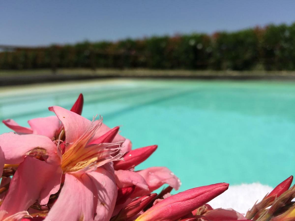Terricciola Agriturismo Pieve De Pitti מראה חיצוני תמונה