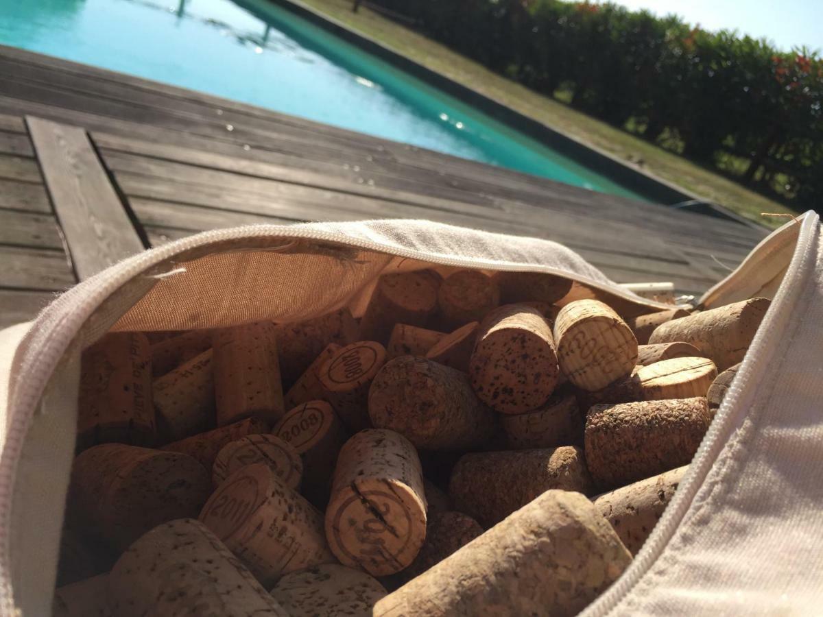 Terricciola Agriturismo Pieve De Pitti מראה חיצוני תמונה
