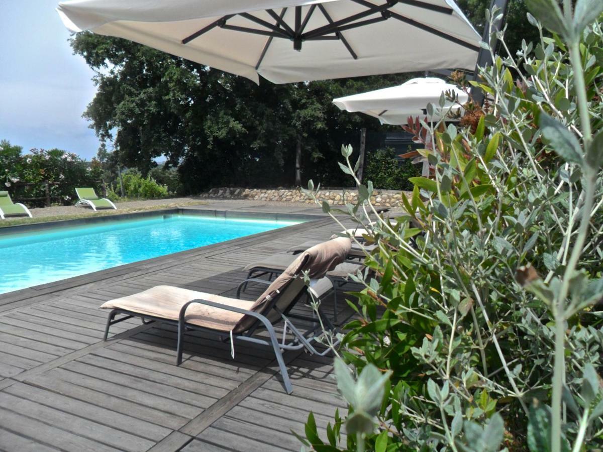 Terricciola Agriturismo Pieve De Pitti מראה חיצוני תמונה