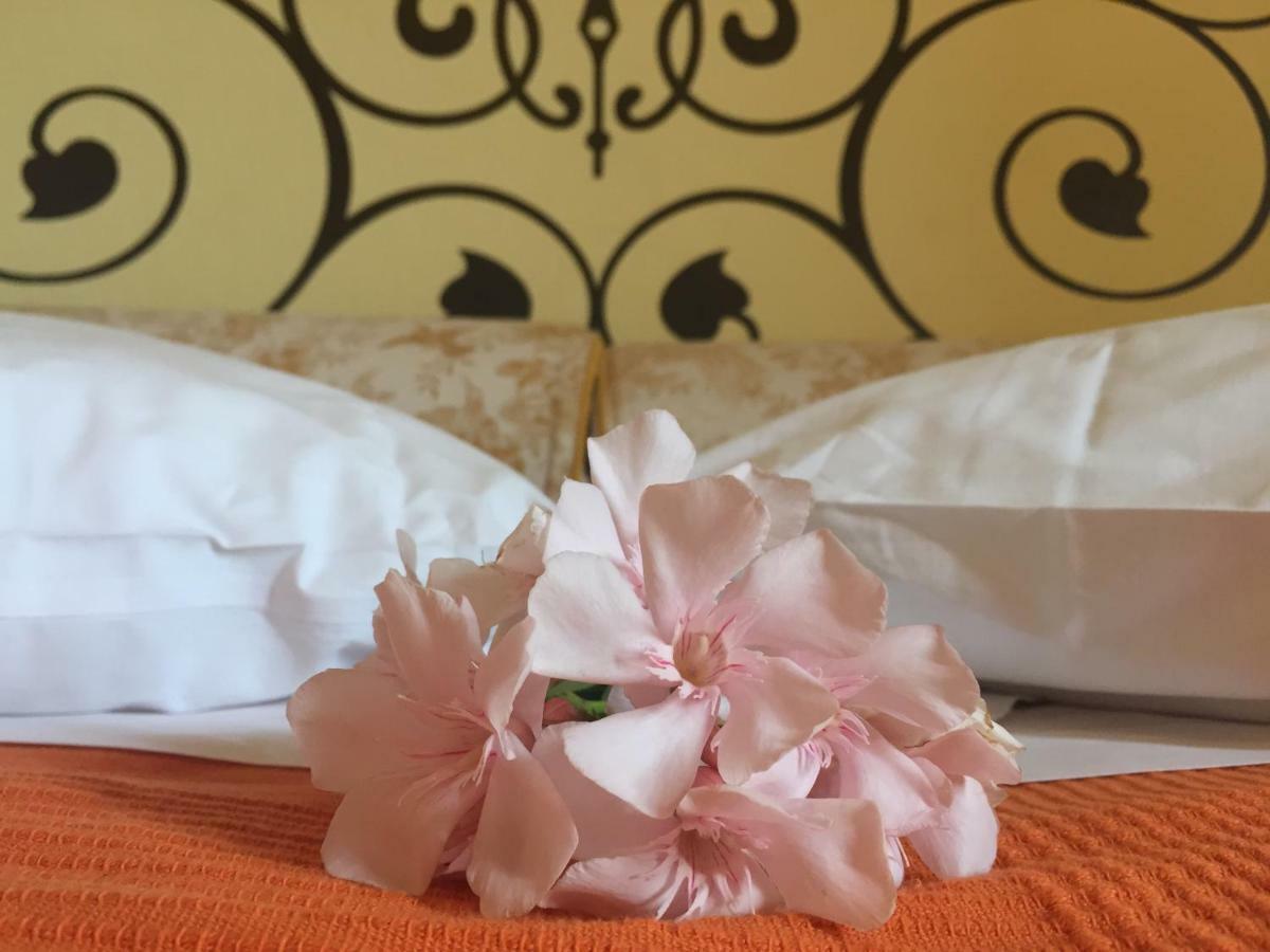 Terricciola Agriturismo Pieve De Pitti מראה חיצוני תמונה